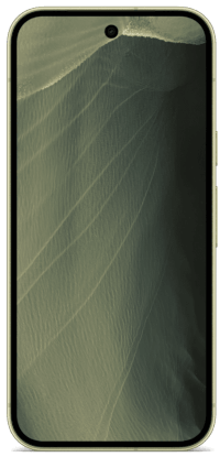 Pixel 11